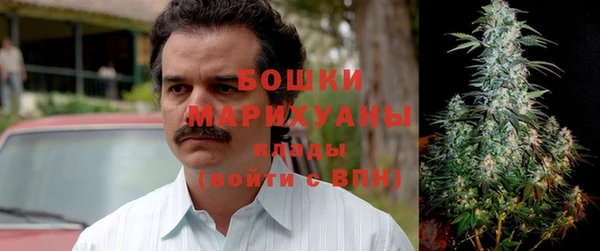 прущие грибы Бородино