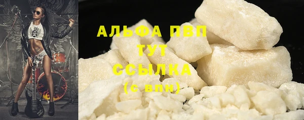 прущие грибы Бородино