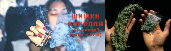 каннабис Богданович
