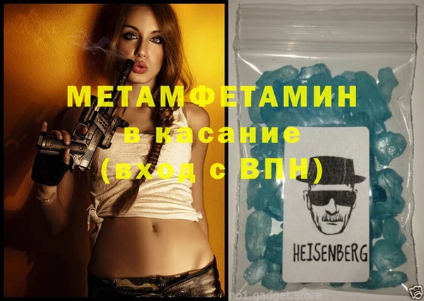 прущие грибы Бородино
