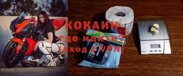 прущие грибы Бородино