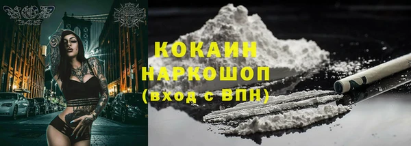 прущие грибы Бородино