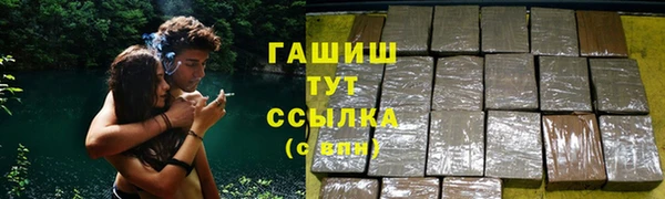 прущие грибы Бородино