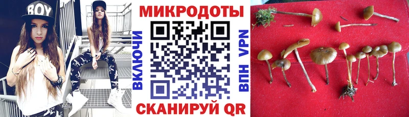 Псилоцибиновые грибы Psilocybe  что такое наркотик  Ангарск 